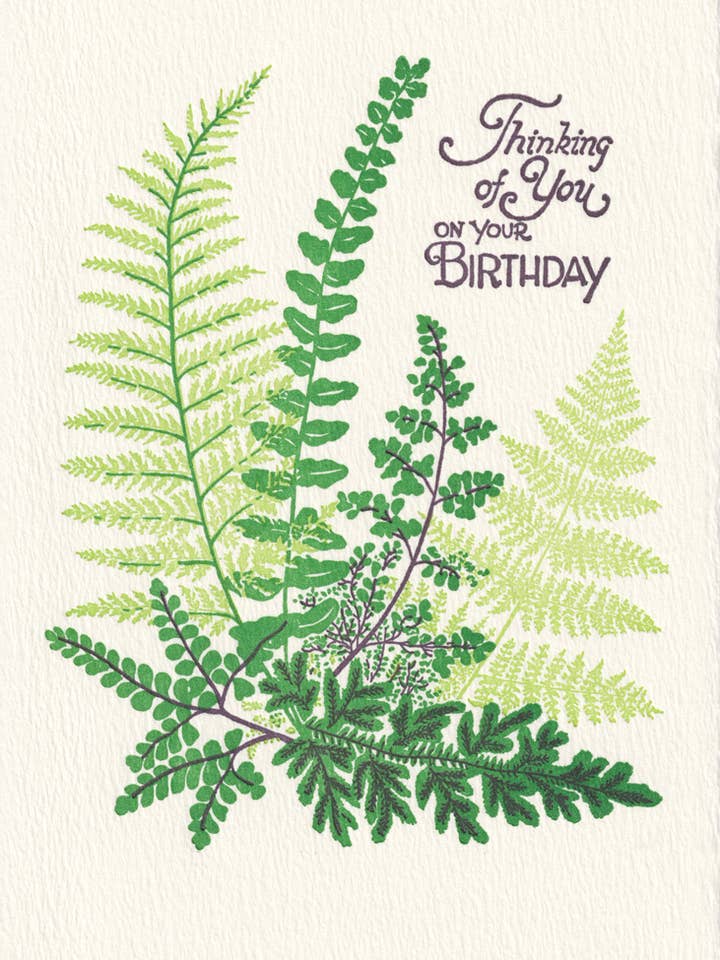 Ferns for wholesale by Saturn Press