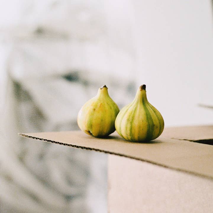 Sqirl - Wholesale Jam/Jelly - Dreamin' Man Candy Stripe Fig & Elderflower Fruit Spread 2