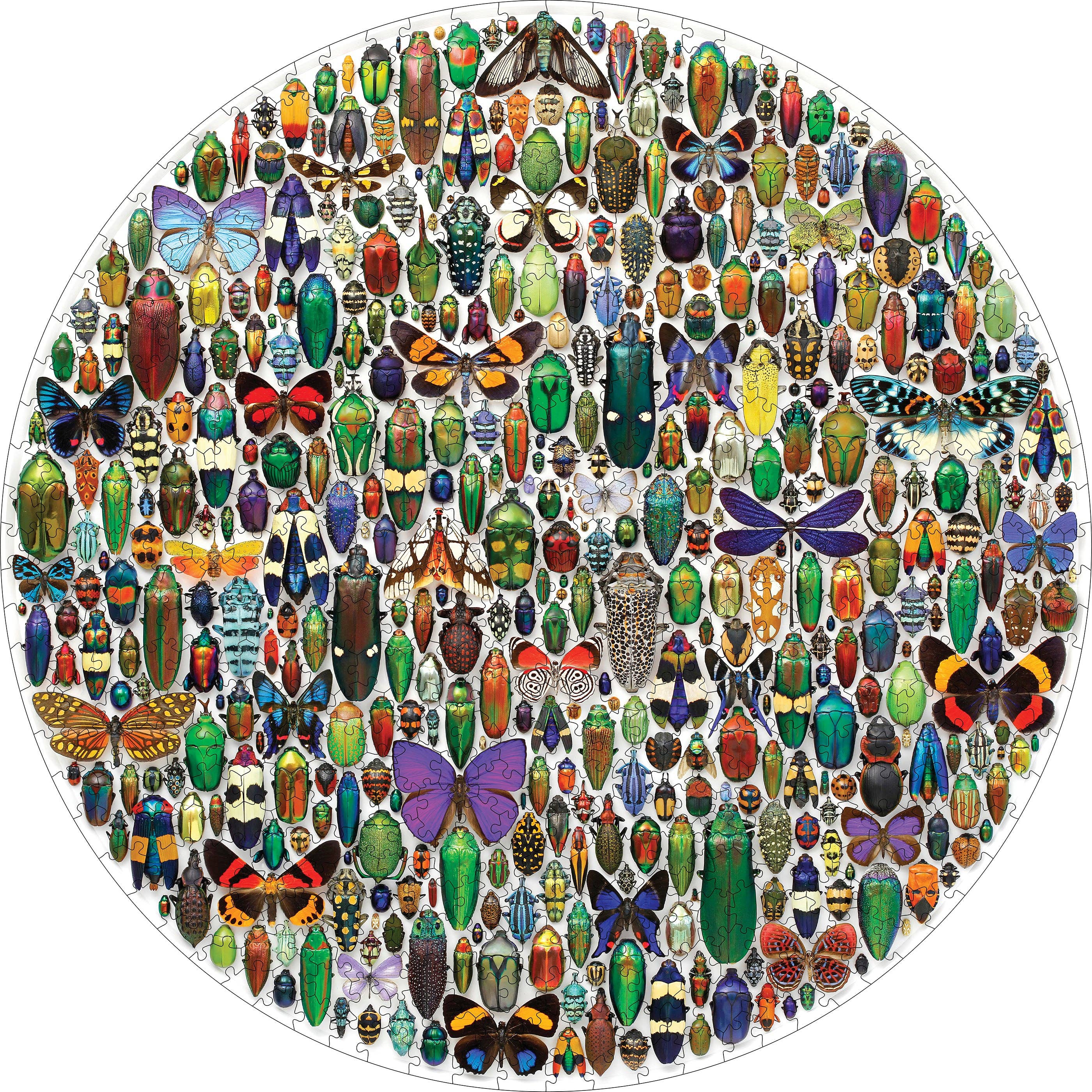 Pomegranate - Wholesale Puzzle - Adult - Christopher Marley: Macrocosm 500-Piece Circular Jigsaw Puzzle1