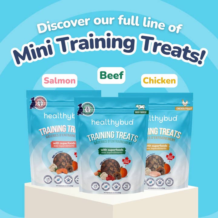 Healthybud - Wholesale Pet Treats - Dog - Healthybud's Functional Salmon Mini Training Treat for Dogs