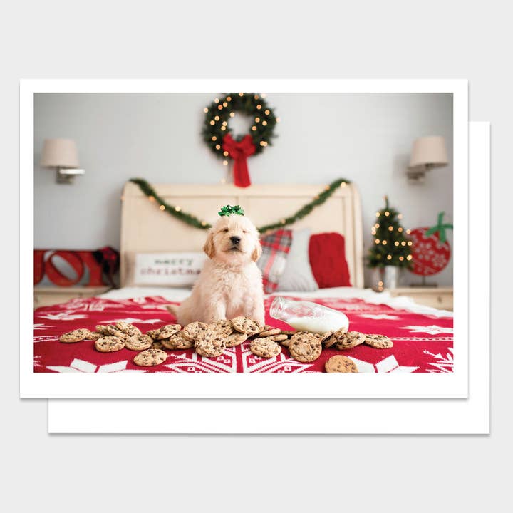 Dog Cookies Bed Christmas Greeting Card for wholesale by Palm Press