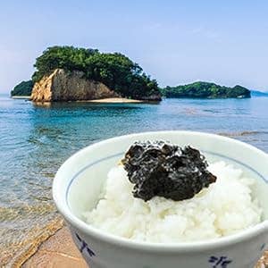 Japan Artisans - Wholesale Sauce - Takesan Seaweed Paste - Yuzu Kosho - 100g | Made in Japan3