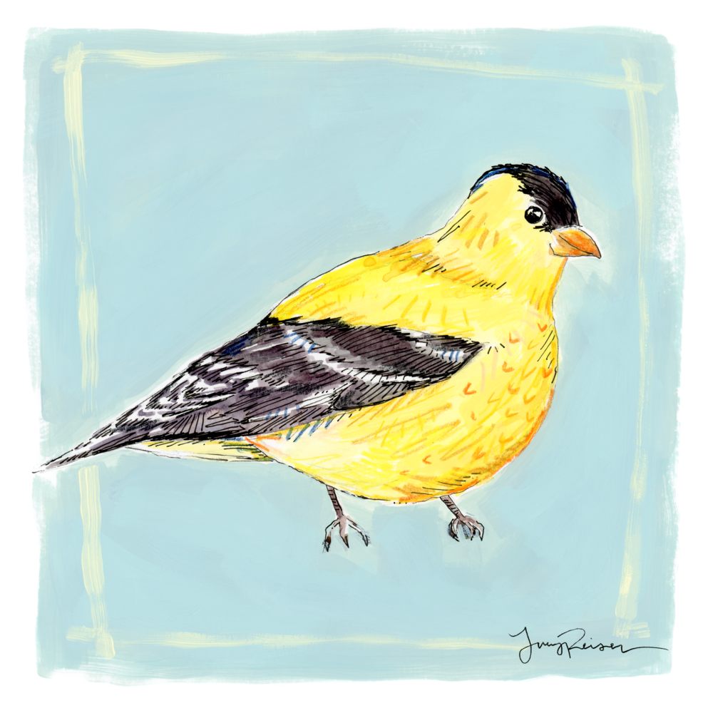 Lucy Reiser Fine Art - Vendita all'ingrosso Stampa artistica - Stampa «American Goldfinch»0