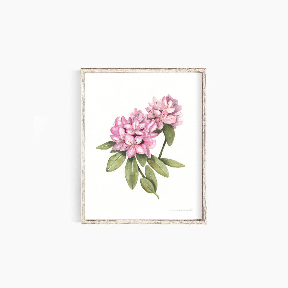 Emma Allen Design Studio - Wholesale Art Print - Rhododendron