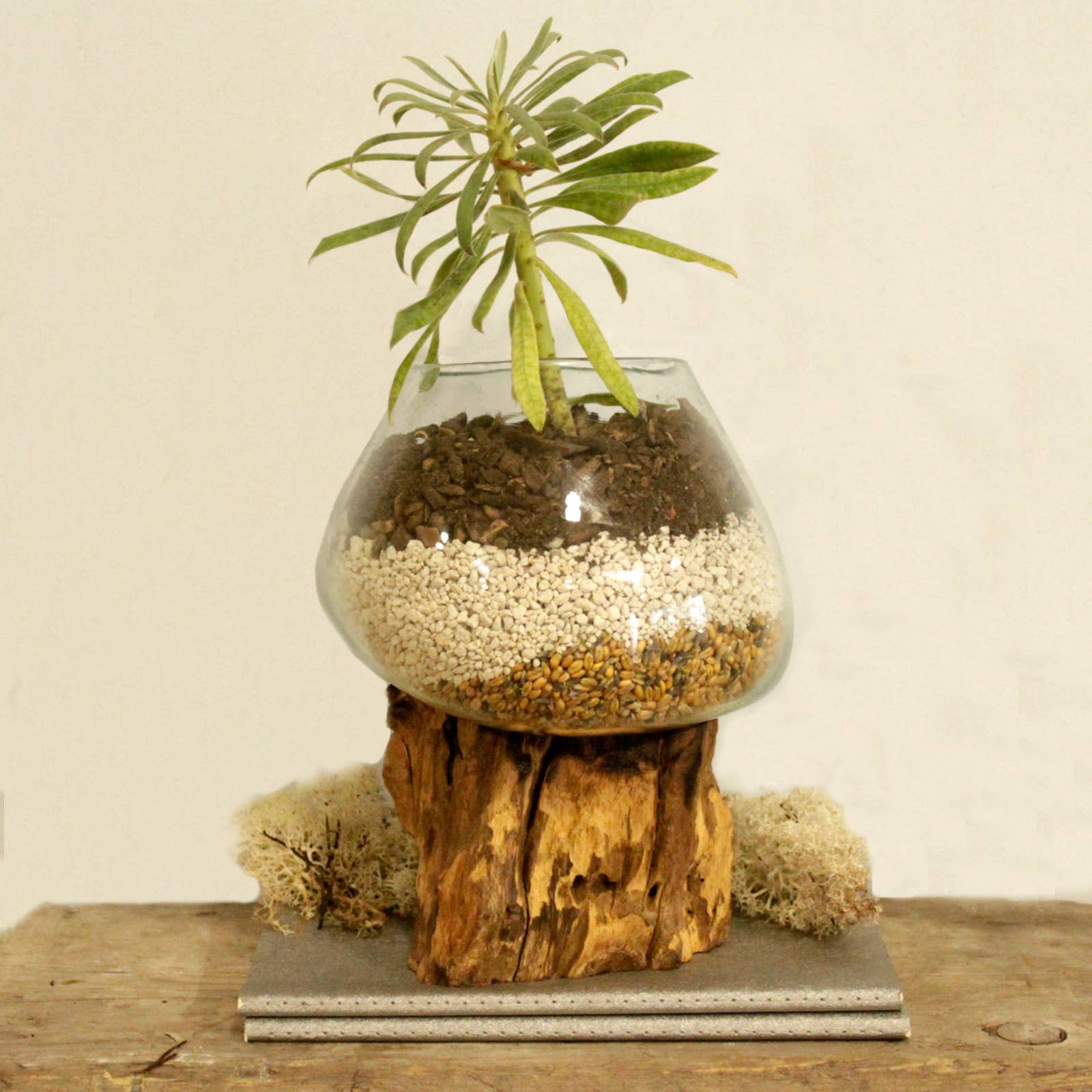 AW Artisan - Wholesale Decorative Jar - Fused Glass on Wood - Large Bowl3