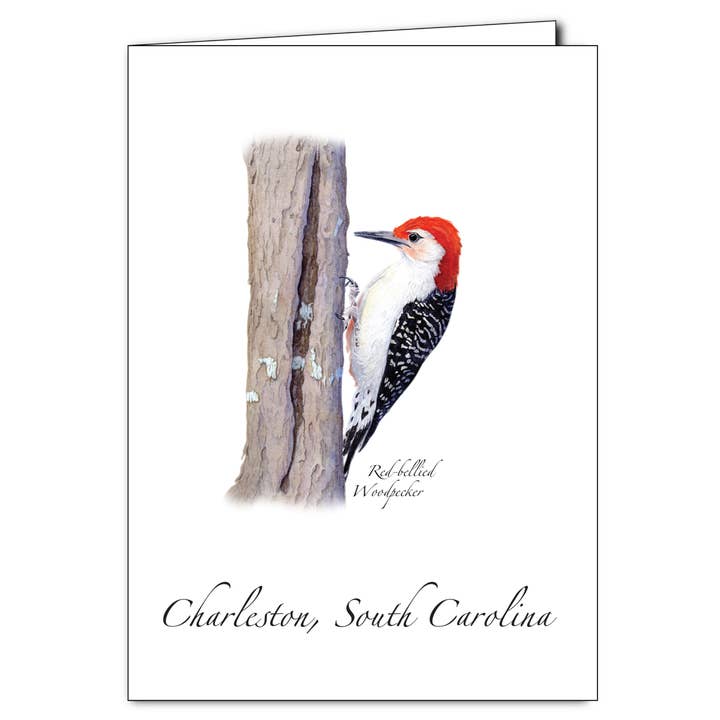 Red-bellied Woodpecker for wholesale by Earth Sky + Water