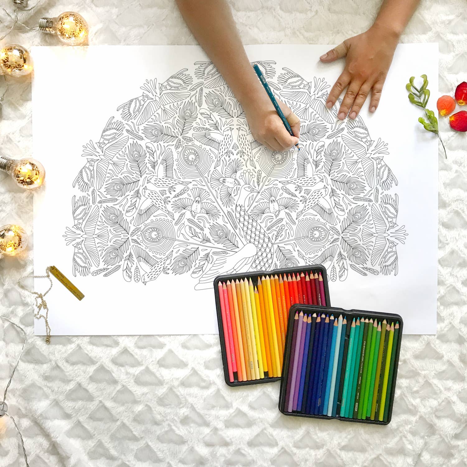 Anna Grunduls Design - Wholesale Coloring & Activity Book - Adult - Peacock Coloring Poster1