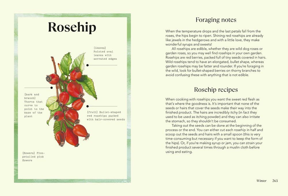 Independent Publishers Group - Vente Nature & Outdoors - Magie sauvage9