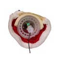 Kurt S. Adler, Inc. - Wholesale Tree Topper - 12" CUL FIBROPTC LED SANTA TREE TOPPER