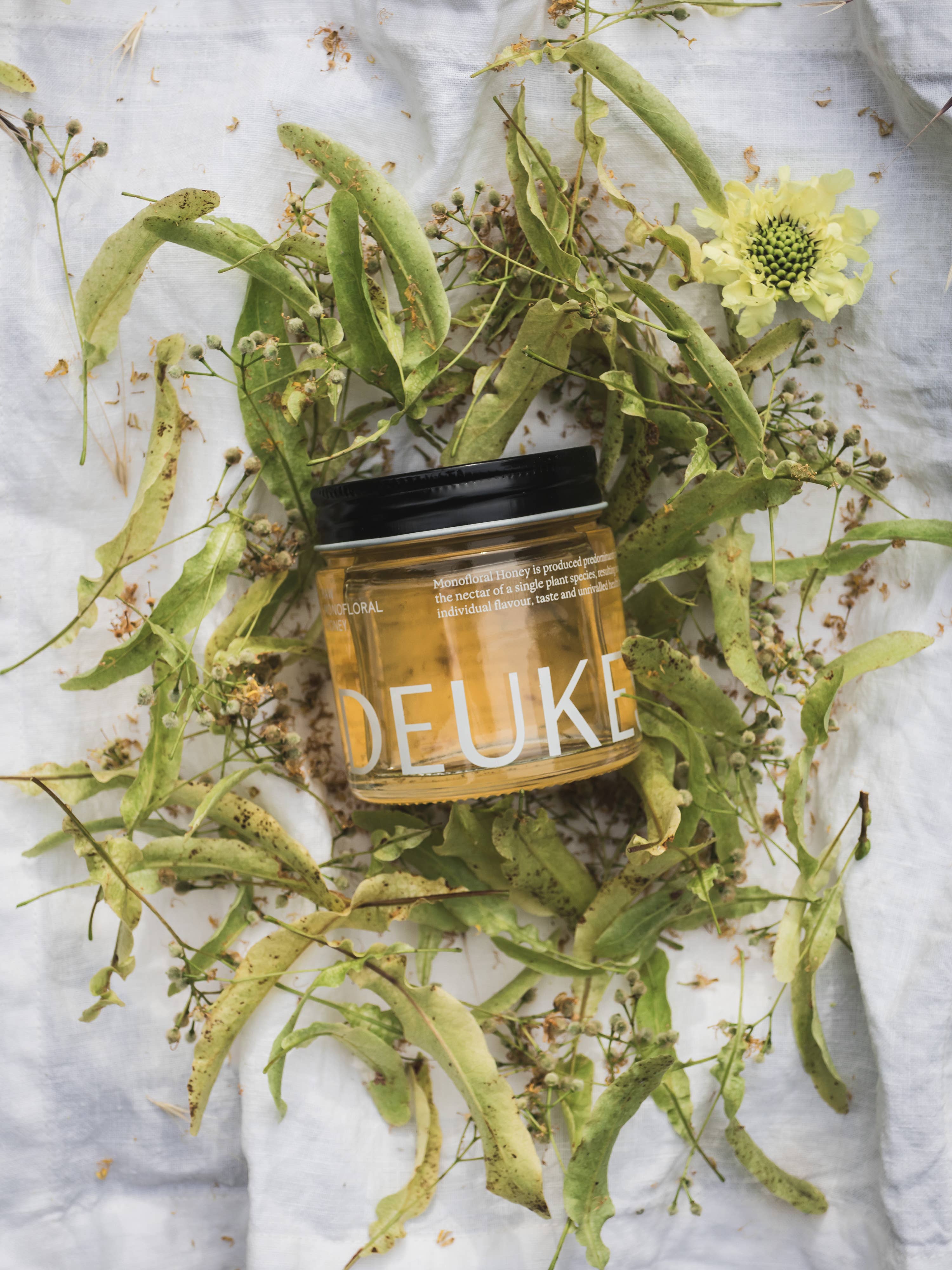 DEUKES - Wholesale Honey - Raw Monofloral Linden Honey4