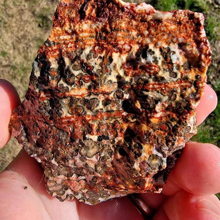 Lapidary Central – Pedra/cristal espiritual por atacado – Amostra Aleatória de Riólito Pele de Leopardo Mexicano em Bruto!5