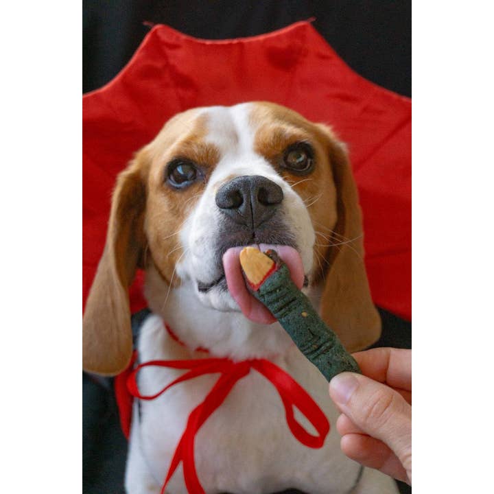 Belpharmed bv: Cooka's Cookies & Sensidog – Engroshandel Godbid - Hund – Halloween - Uhyggelig Boks11