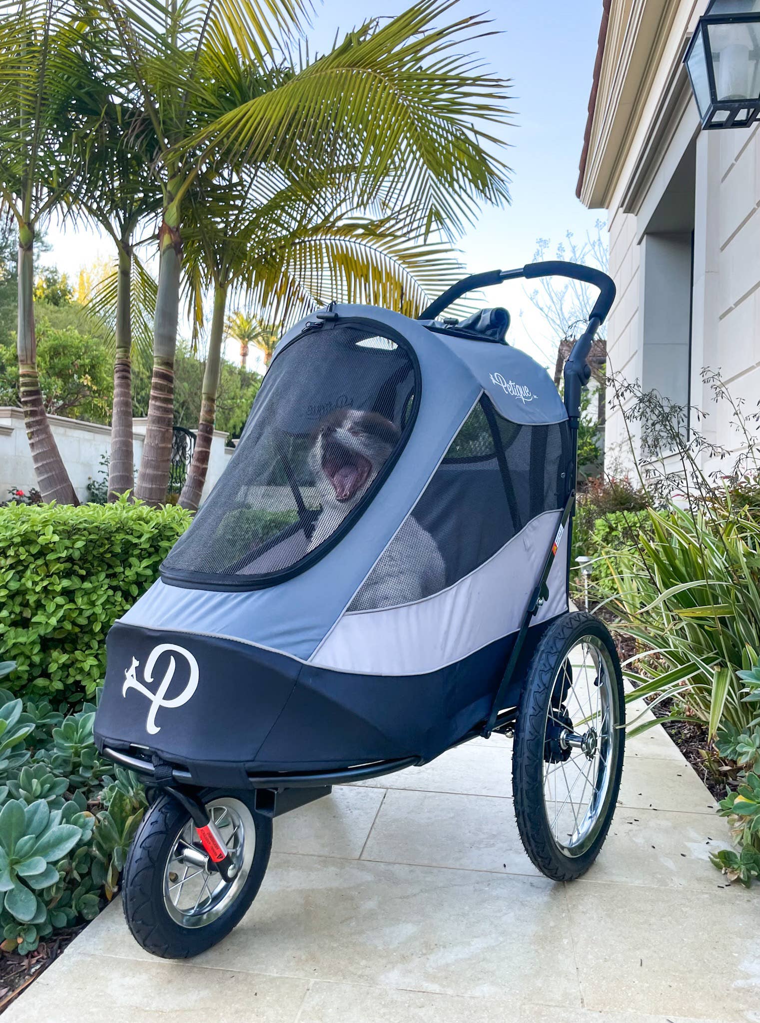 Petique - Wholesale Pet Carrier - Cat/Dog - Trailblazer Pet Jogger28