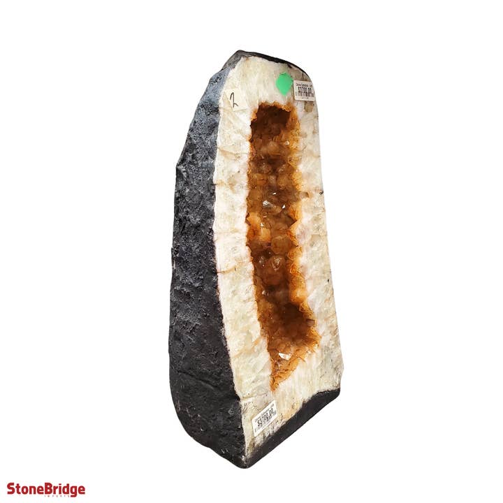 Citrien Kathedraal U#5 - 20" (Versterkt) voor wholesale door Stonebridge Imports