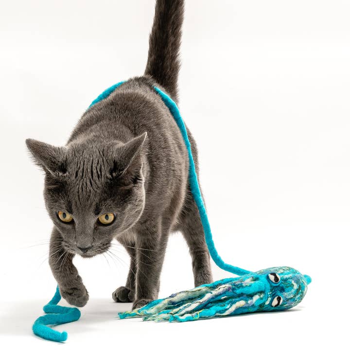Cat in the Box LLC - Vente Jouet – chat - Jouet pieuvre en laine avec corde de 1,2 m - bleu, vert14