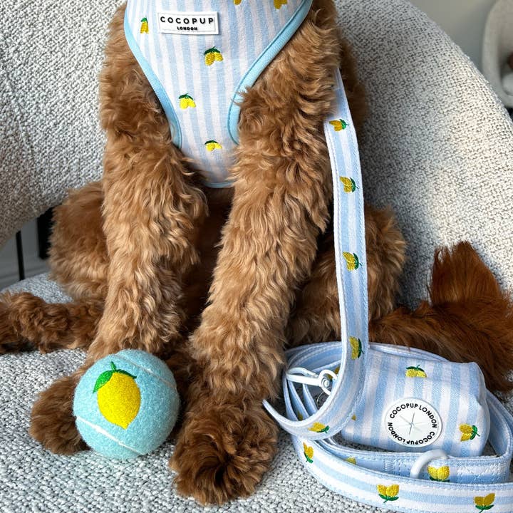 Cocopup London - Wholesale Pet Fetch Ball - Dog - Embroidered Tennis Ball - Lemon2