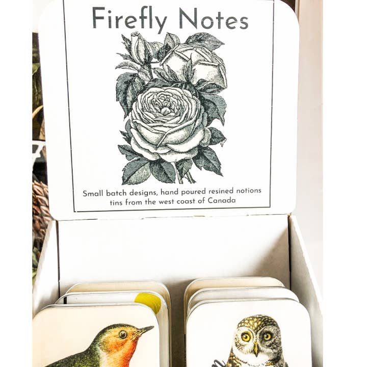 Firefly Notes - Wholesale Retailer Display - Paper & Novelty - Ready to ship Large tin variety pack with cardboard display1