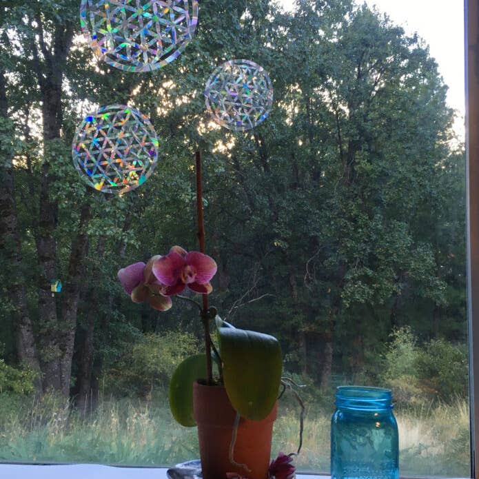 Window Gems - Wholesale Suncatcher - Flower of Life Mandala Window Clings - Casts rainbows!4