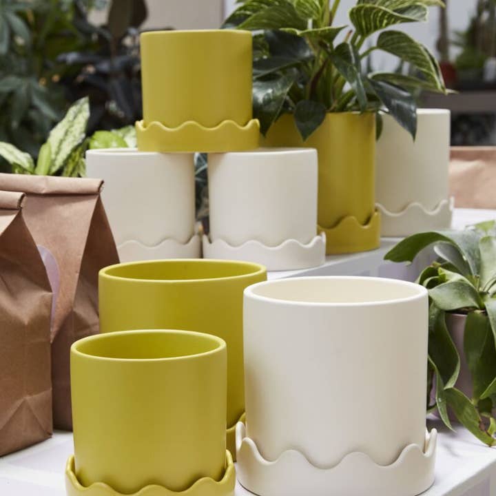 Auden & Avery - Wholesale Plant Pot - Pissaro Pot with Scalloped Saucer1