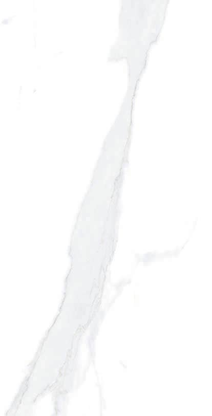 Thomas Avenue Ceramics - Wholesale Wall Tile - 12"x24" Porcelain Calacatta Cool Floor and Wall Tile5