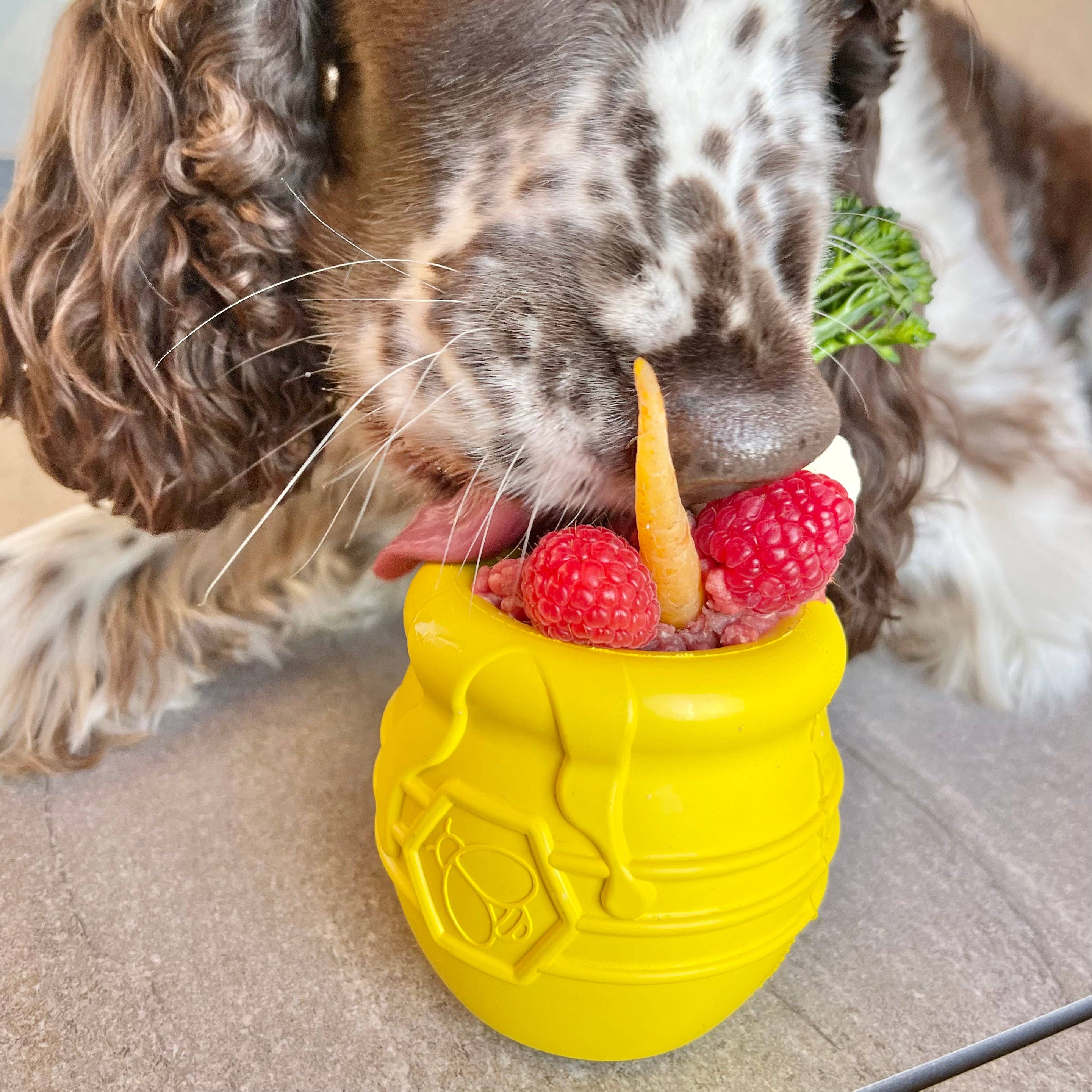 Rover Pet Products - Vente Jouet à mâcher – chien - Honey Pot - Jouet à mâcher et à enrichir7