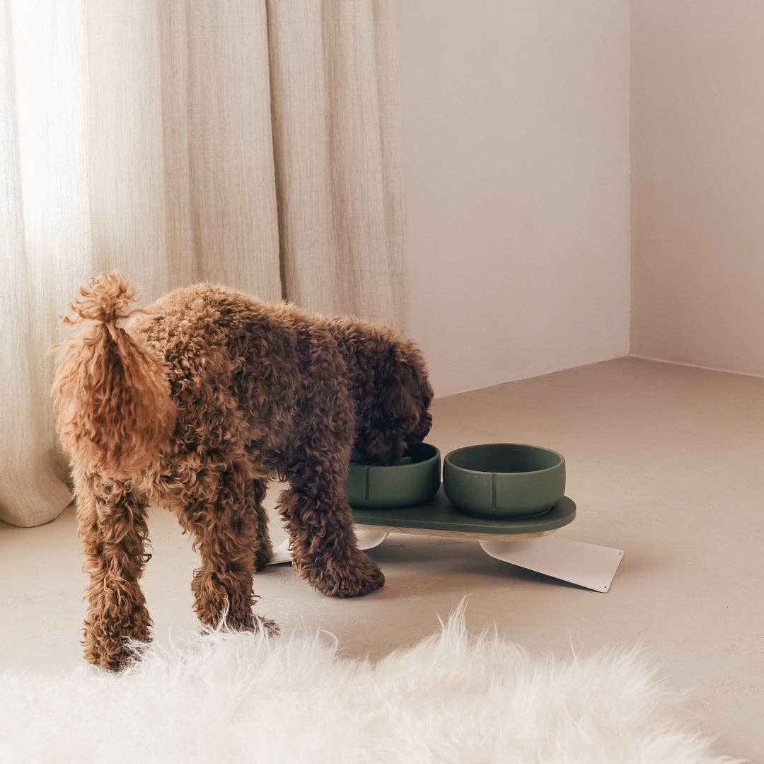 PINO – Engroshandel Kæledyrsskål – Hund – Klassisk skål52