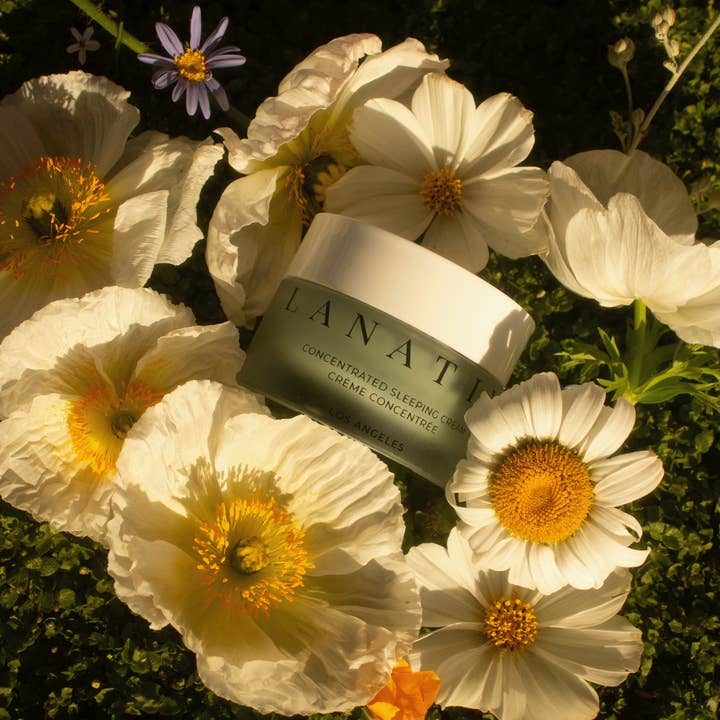 Lanativ - Wholesale Night cream - Concentrated Sleeping Cream: Blue Tansy Reparative Balm1