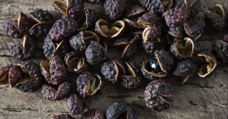 TRIBALDI - Wholesale Rum - Blackbeard spiced rum6