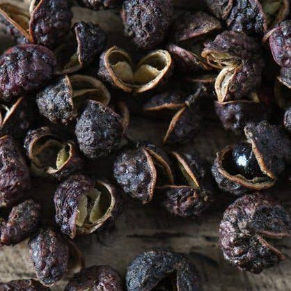 TRIBALDI - Wholesale Rum - Blackbeard spiced rum6