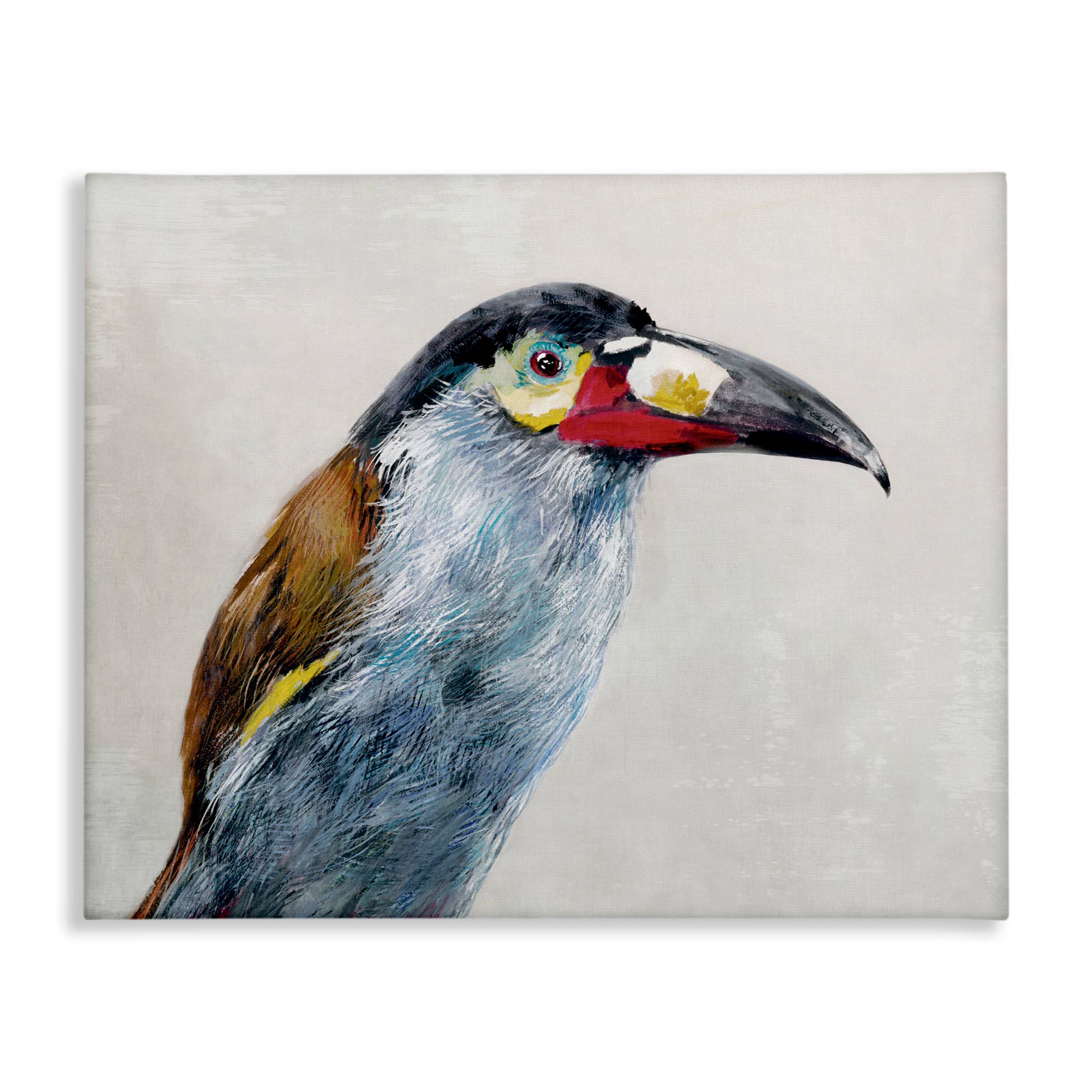 Stupell Industries – wholesale Wall sign – Black Billed Mountain Toucan - Unframed Wall Art8