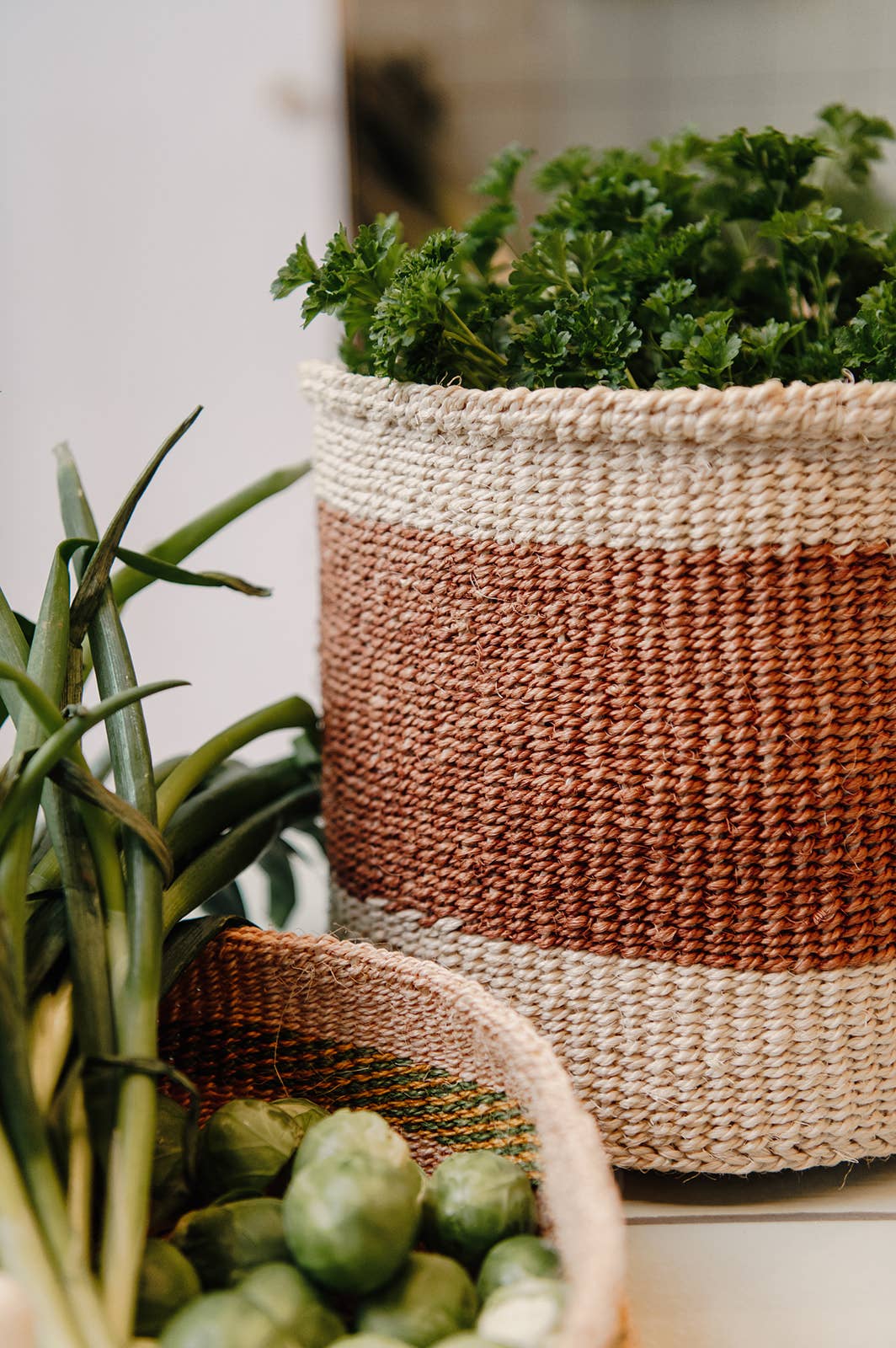 Crafts by Solid - Wholesale Basket - Handwoven Sisal Baskets - Natural Hues - XXS - XXL74