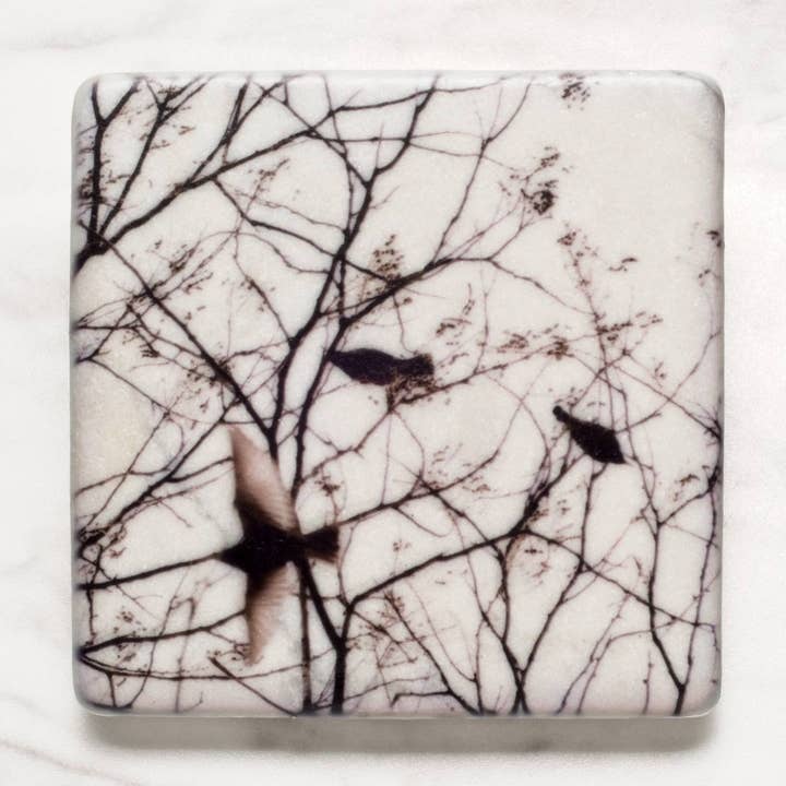 Central Park Birds for wholesale by StellaLily