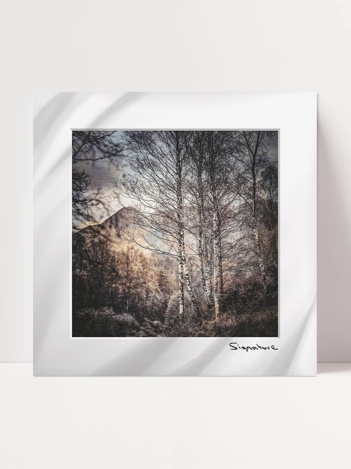 Ben A'an Birches for wholesale by Ecosse Encaustics Cards