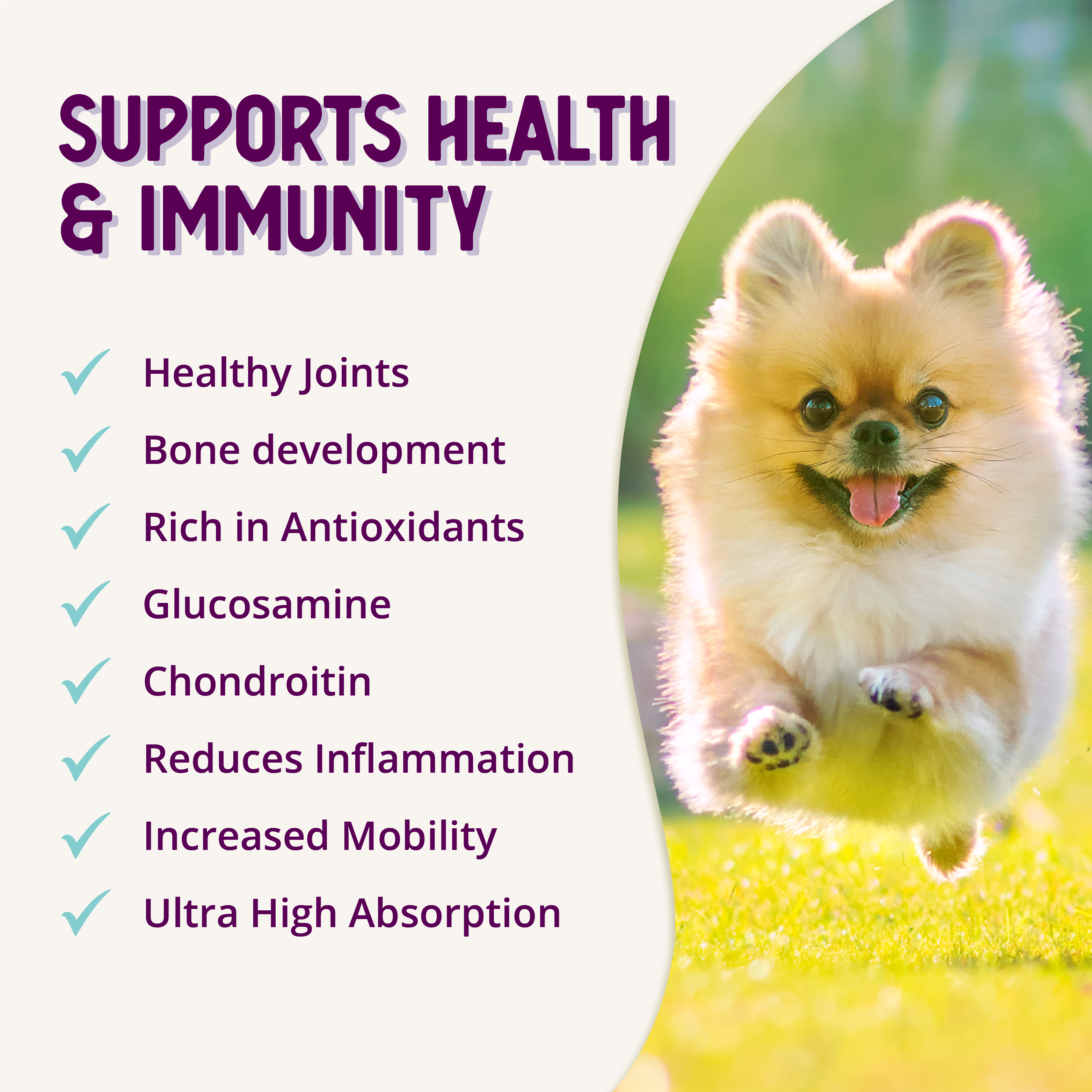 Health Extension Pet Care - Wholesale Pet Supplement - Dog - HIP + JOINT Mobility Supplement9