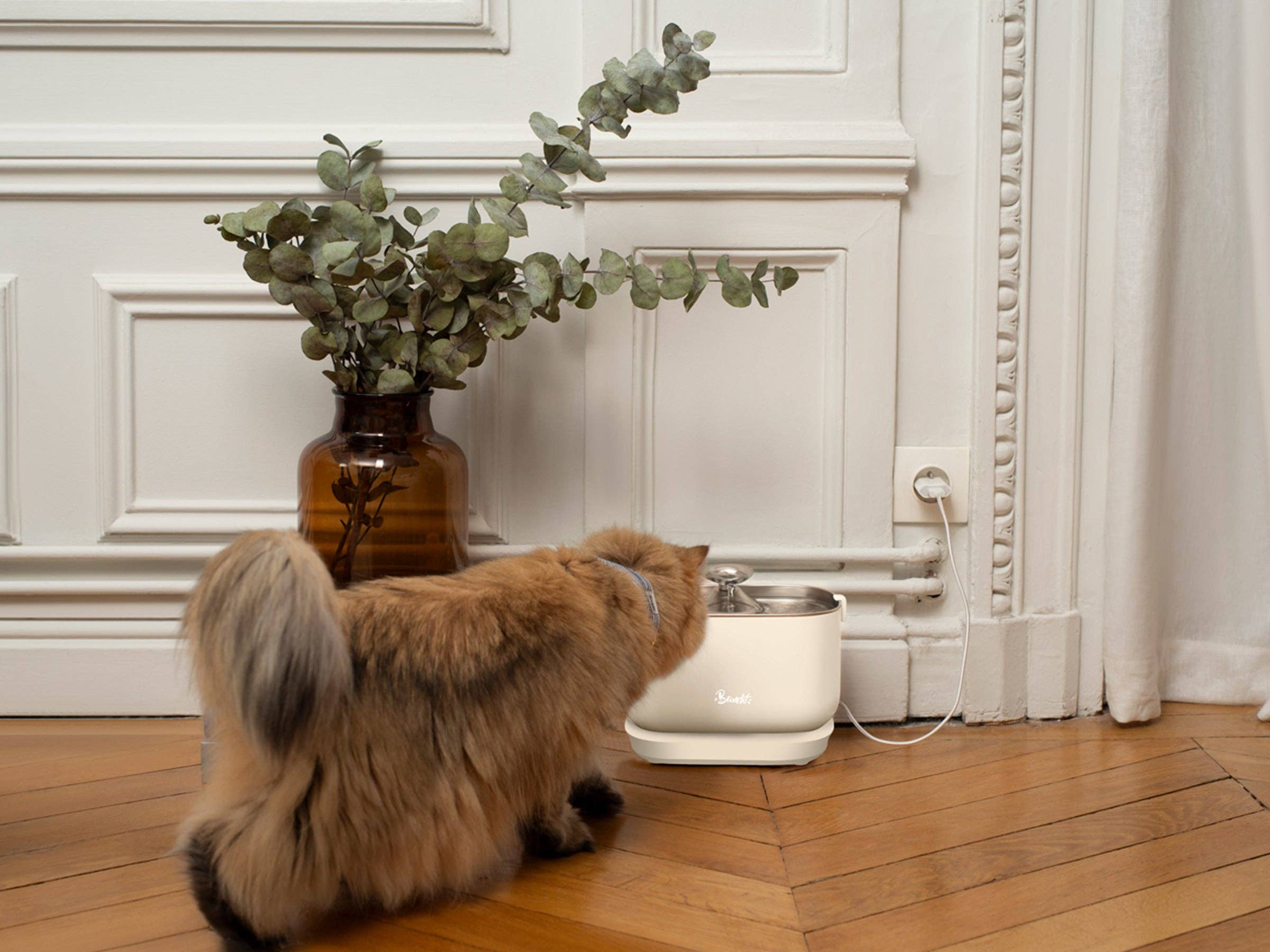 French Bandit - Wholesale Pet Bowl - Cat/Dog - Wired water fountain for cat4