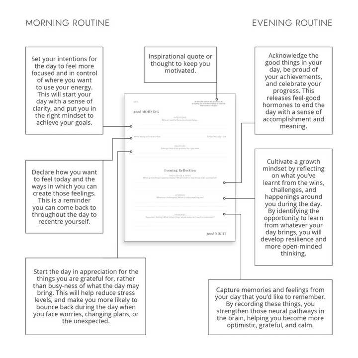 LH Agenda - Wholesale Journal/diary - Good Morning Good Night - Mocha - Daily Practice Journal8