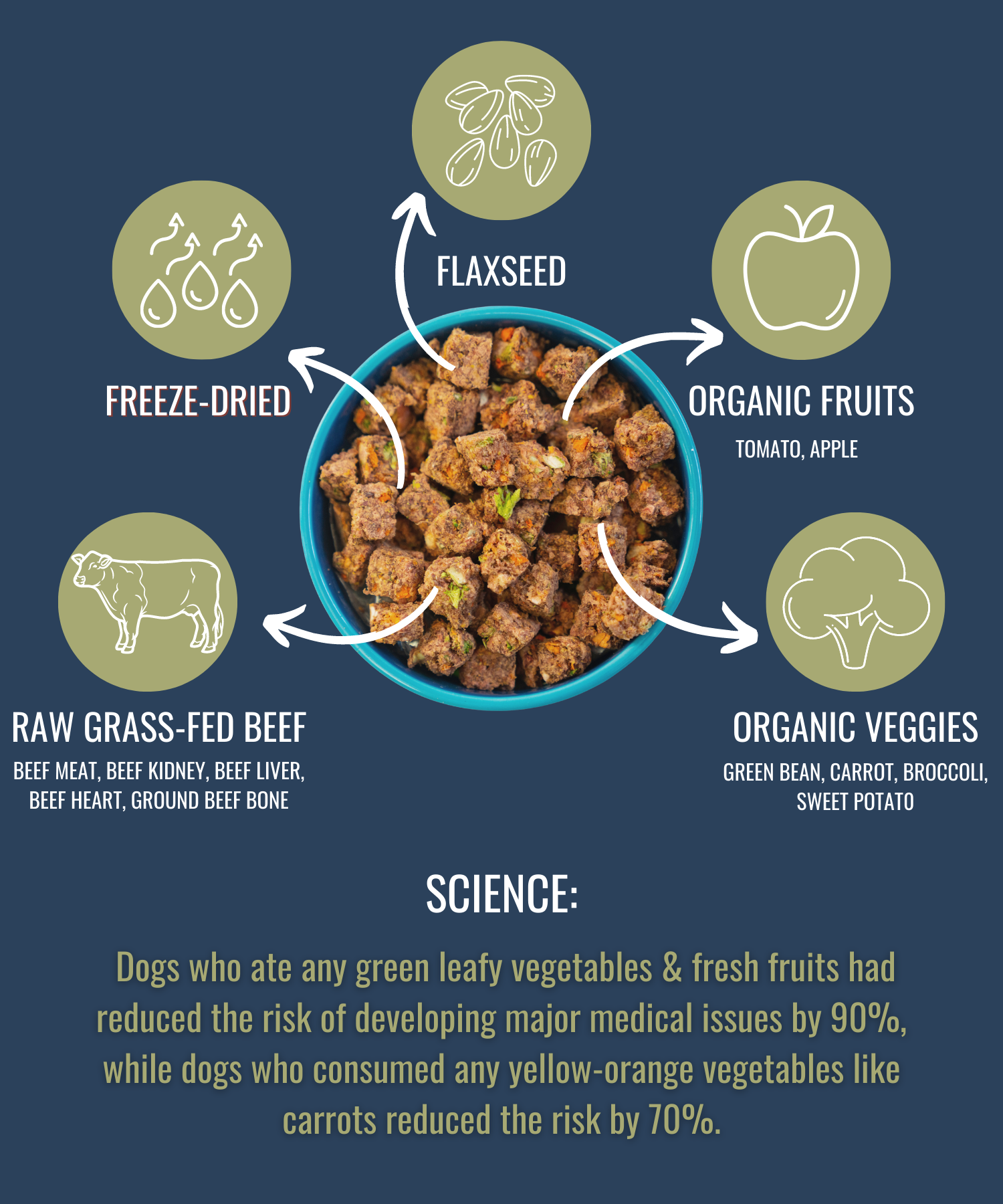 Camping With Dogs and AlphaPak – wholesale Pet food – Dog – ALPHAPAK RAW FREEZE DRIED DOG FOOD BEEF 16 OZ6