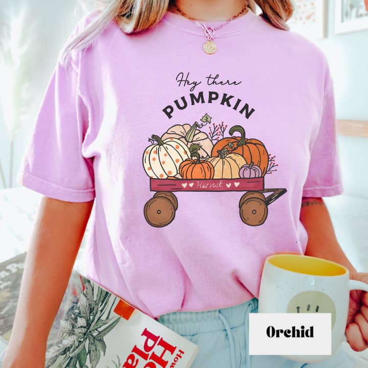 T-shirt d'automne, t-shirt Hey There Pumpkin, chemise d'automne, confort pour la vente par Woven Wonder Apparel