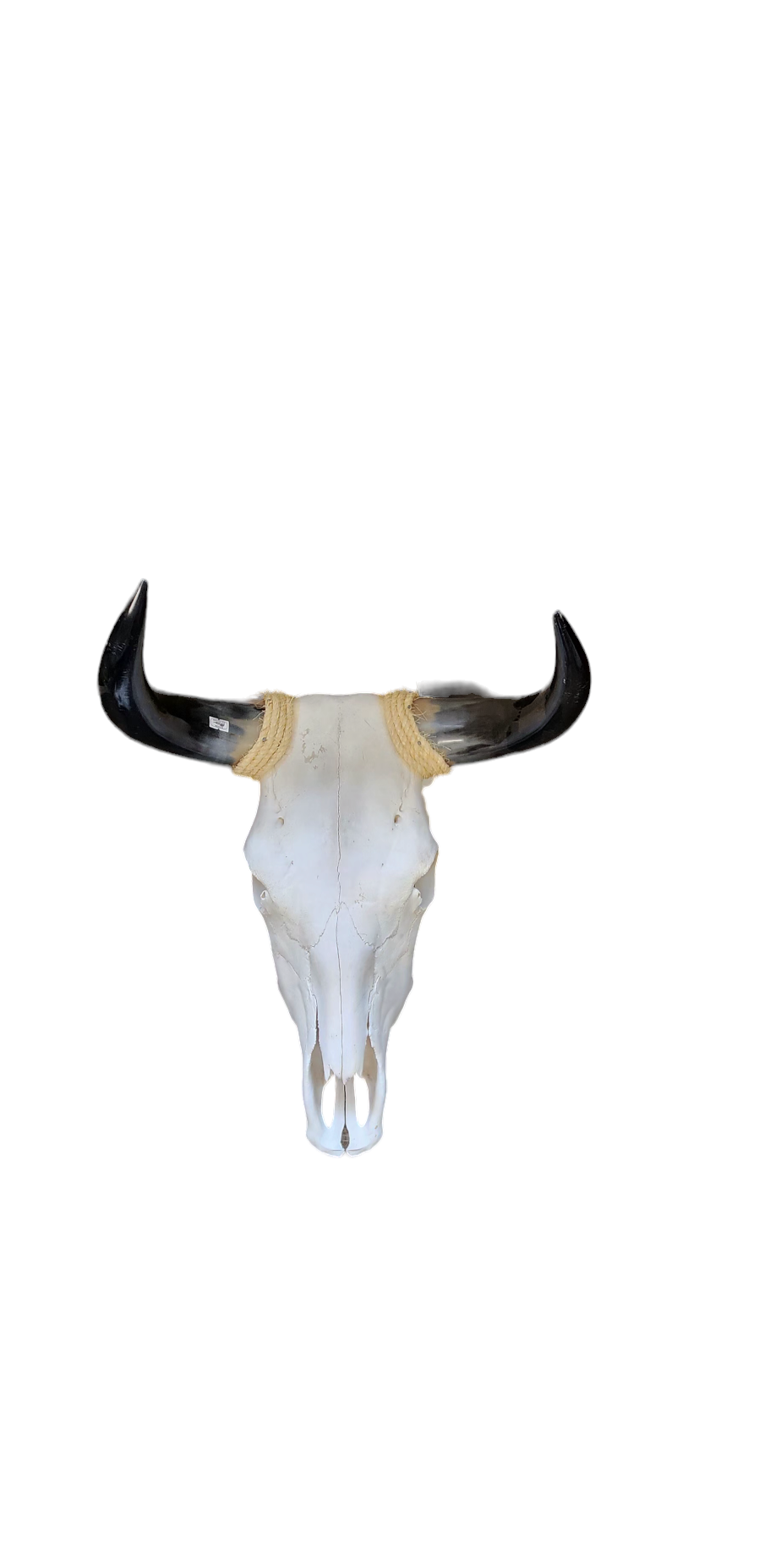 Luises Perez Imports LLC – Großhandel 3D-Wandkunst – Verschiedene kleine Totenköpfe1