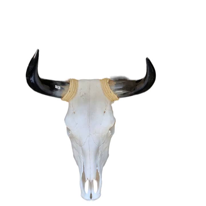 Luises Perez Imports LLC - Wholesale Wall Accent - Assorted Small skull1