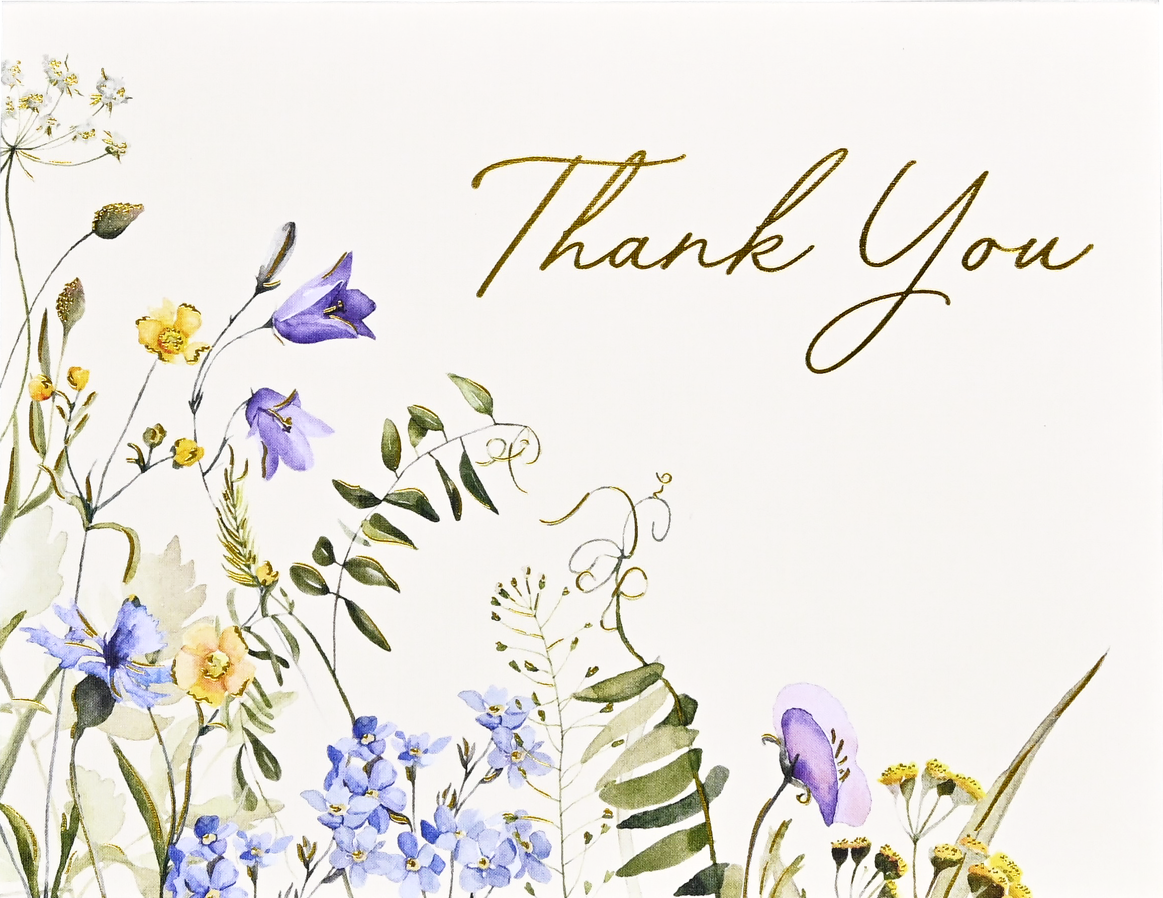 Peter Pauper Press - Wholesale Stationery/Notecard Set - Wildflowers Premium Thank You Note Cards8