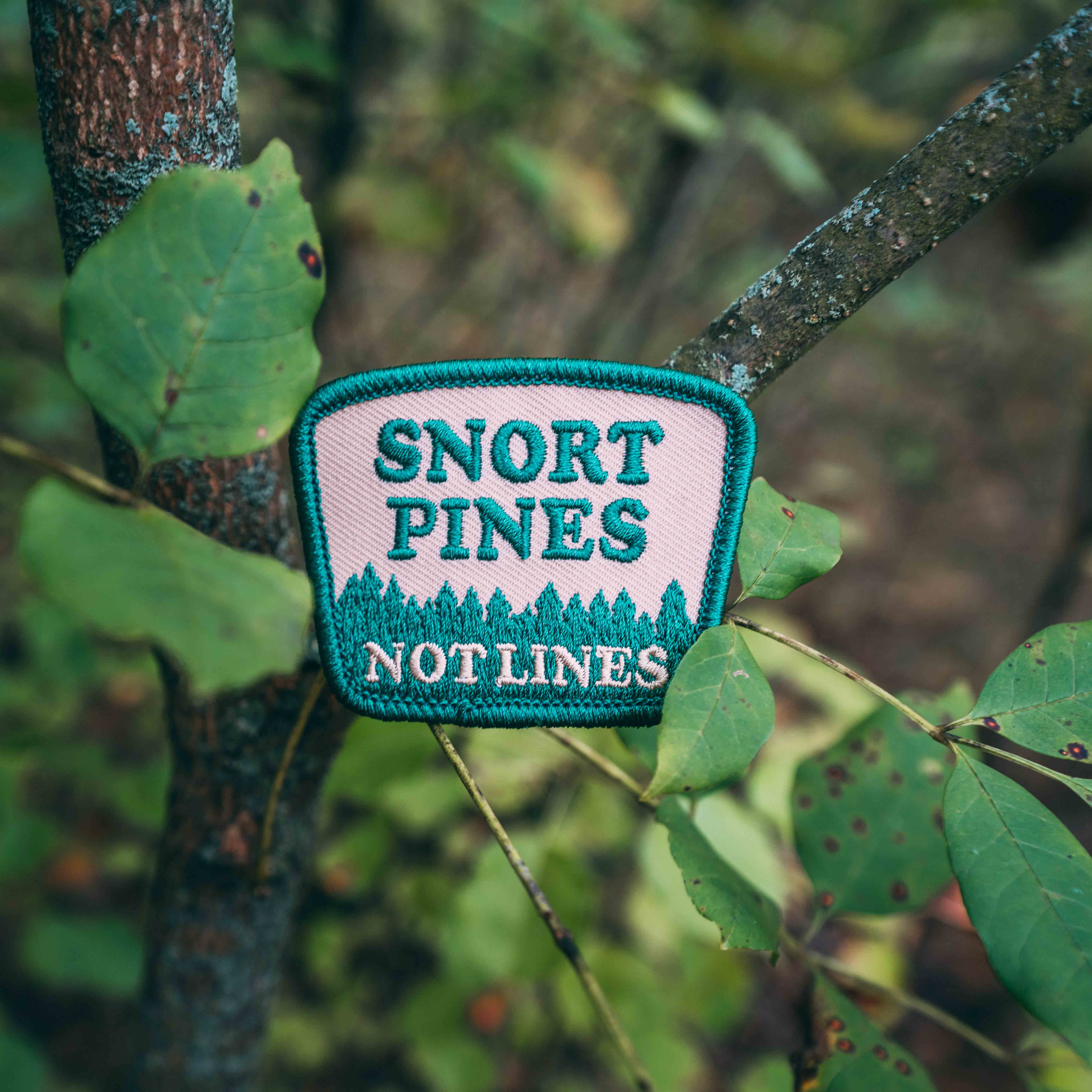 Hey Bear Outdoors - Vendita all'ingrosso Toppe - Toppa ricamata Snort Pines Not Lines con retro termosaldato4