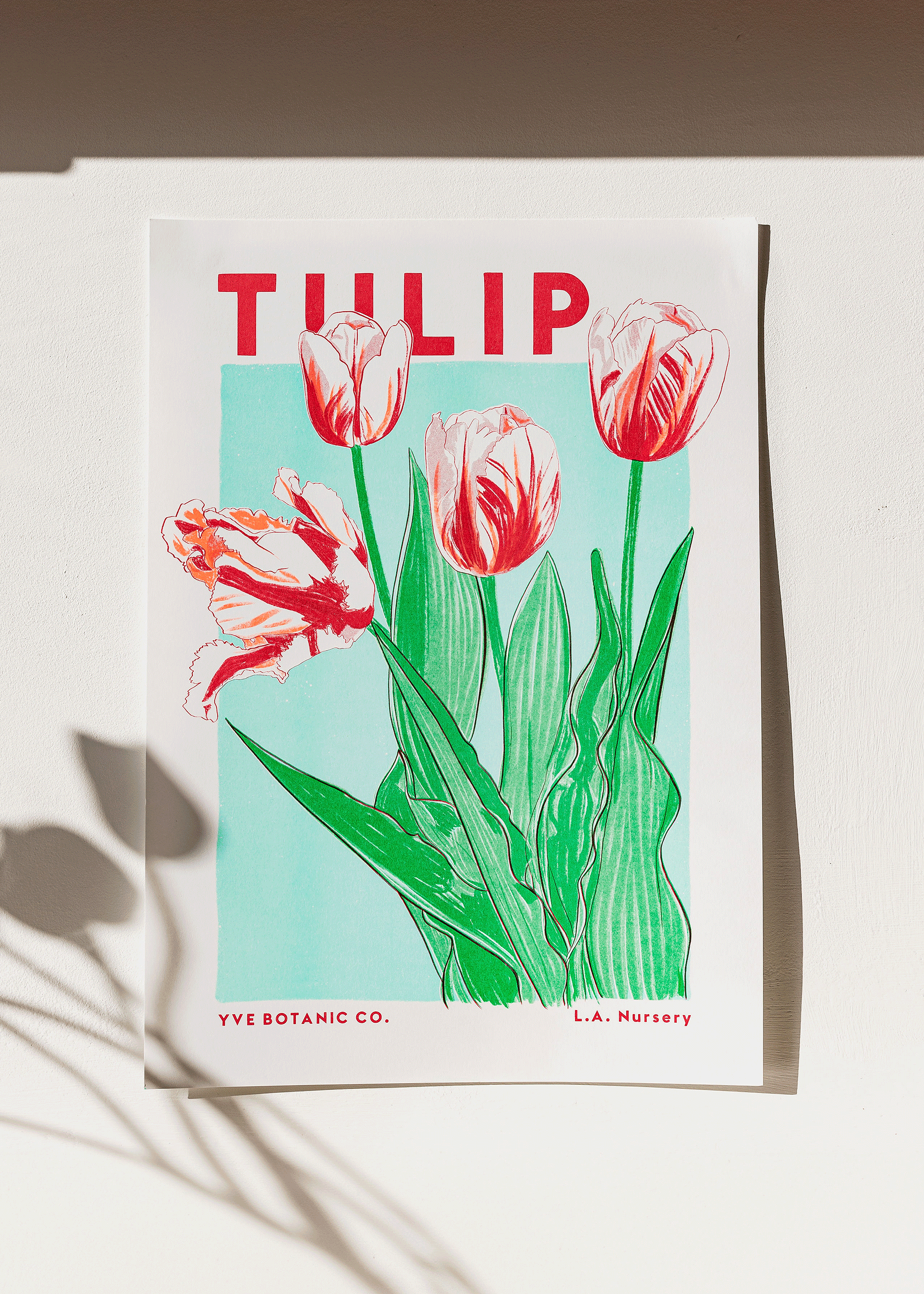 Eve Print Studio. - Wholesale Art Print - Tulip Flower Risograph Print2