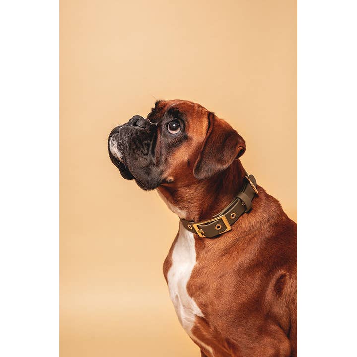 Pompon & Pets - Wholesale Pet Collar - Dog - Olive Collar - Biothane1