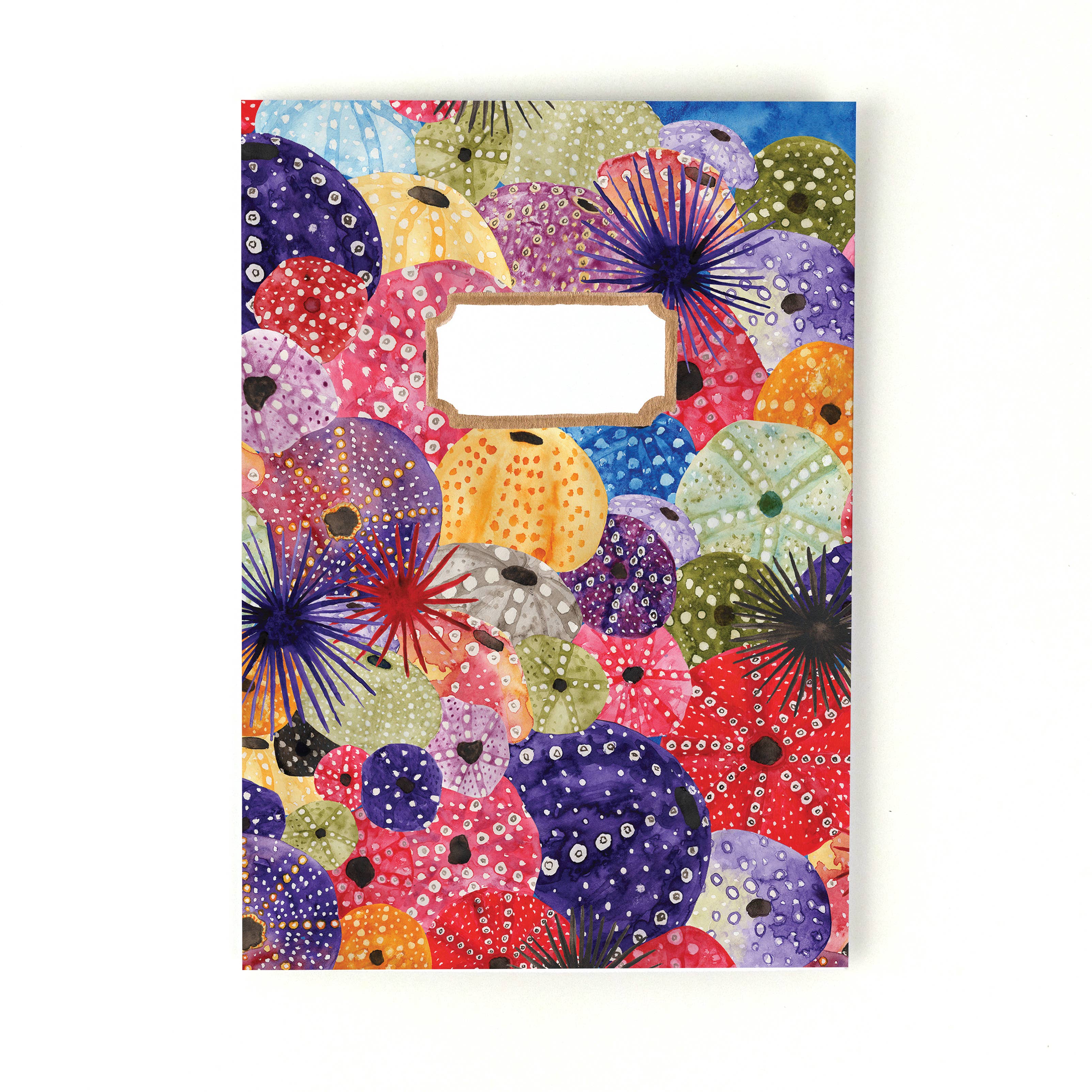 Bison Bindery – wholesale Notebook – Echinozoa Sea Urchin A5 Recycled Notebook - 36 Plain Pages2
