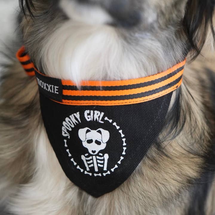 Orange Spooky Girl! Adjustable Pet Bandana for wholesale on Faire1