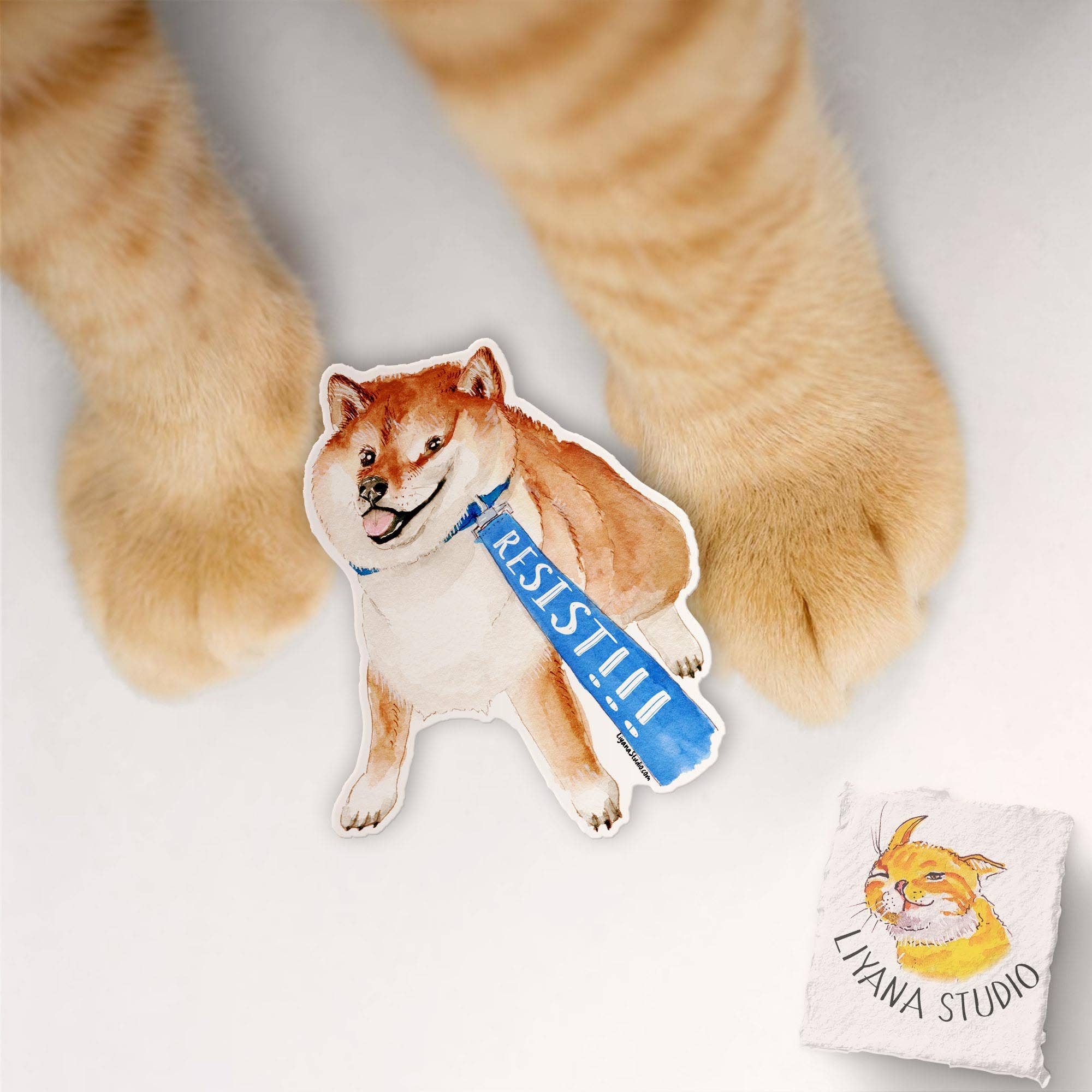 Liyana Studio - Wholesale Sticker - Shiba Inu Dog Resist - Funny Vinyl Sticker3