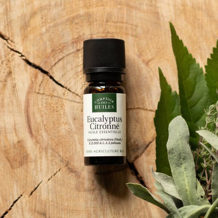 COMPTOIR DES HUILES - Wholesale Essential Oil - Lemon Eucalyptus Essential Oil ORGANIC