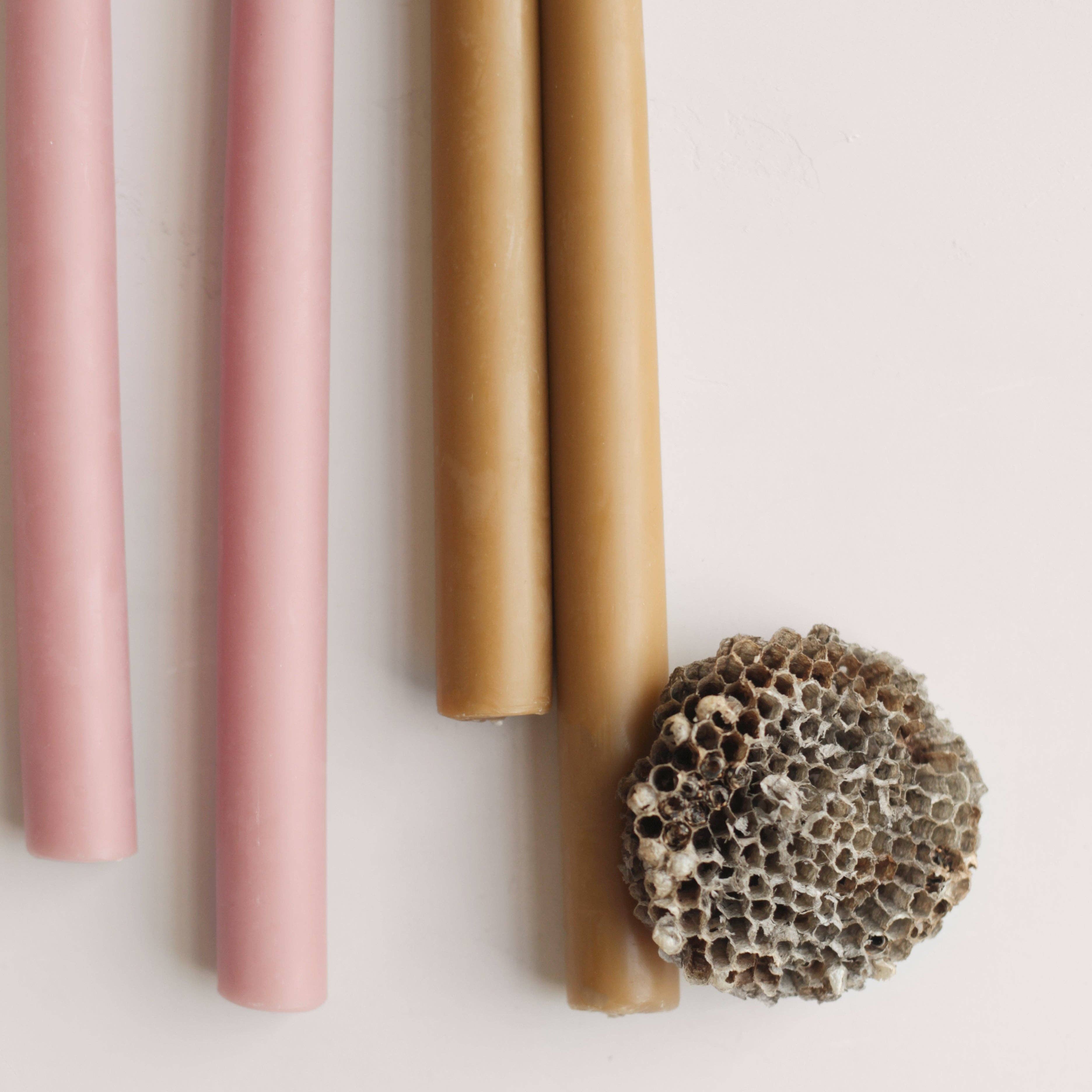 The Floral Society - Wholesale Tapered Candle/Candlestick - 12" Beeswax Taper Candles9