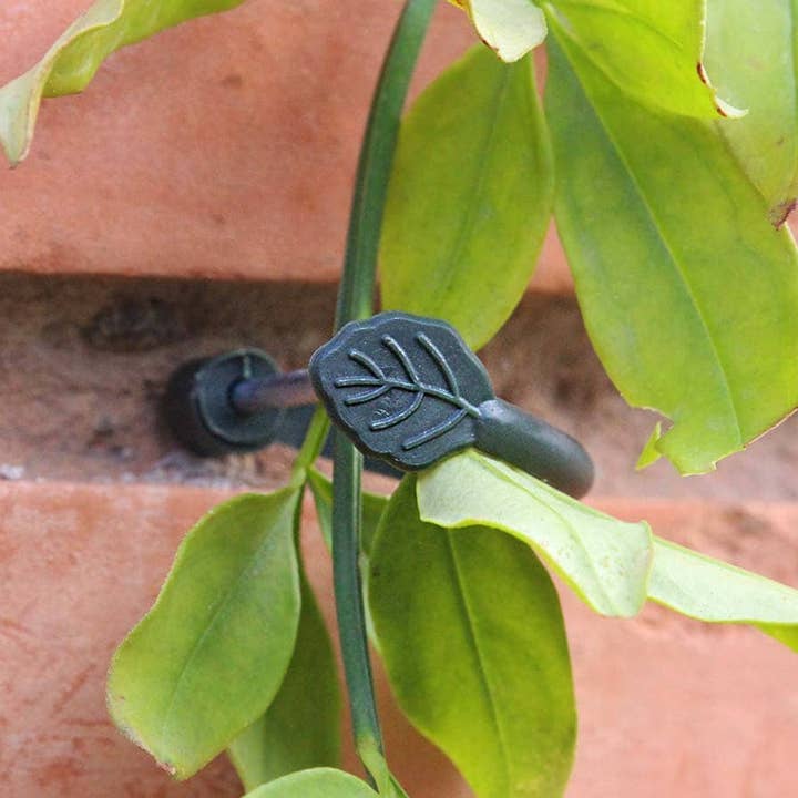 JARDIN Y NATURA OUTDOOR & GARDEN PRODUCTS SL - Wholesale Trellis - Supports for climbing plants (8u) - CLIMBING TIE1